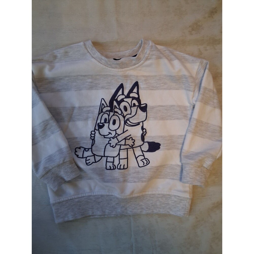 Bluey Sweatshirt 3T Toddler Sweatshirt Grey Stripe Pullover Long Sleeve Graphic